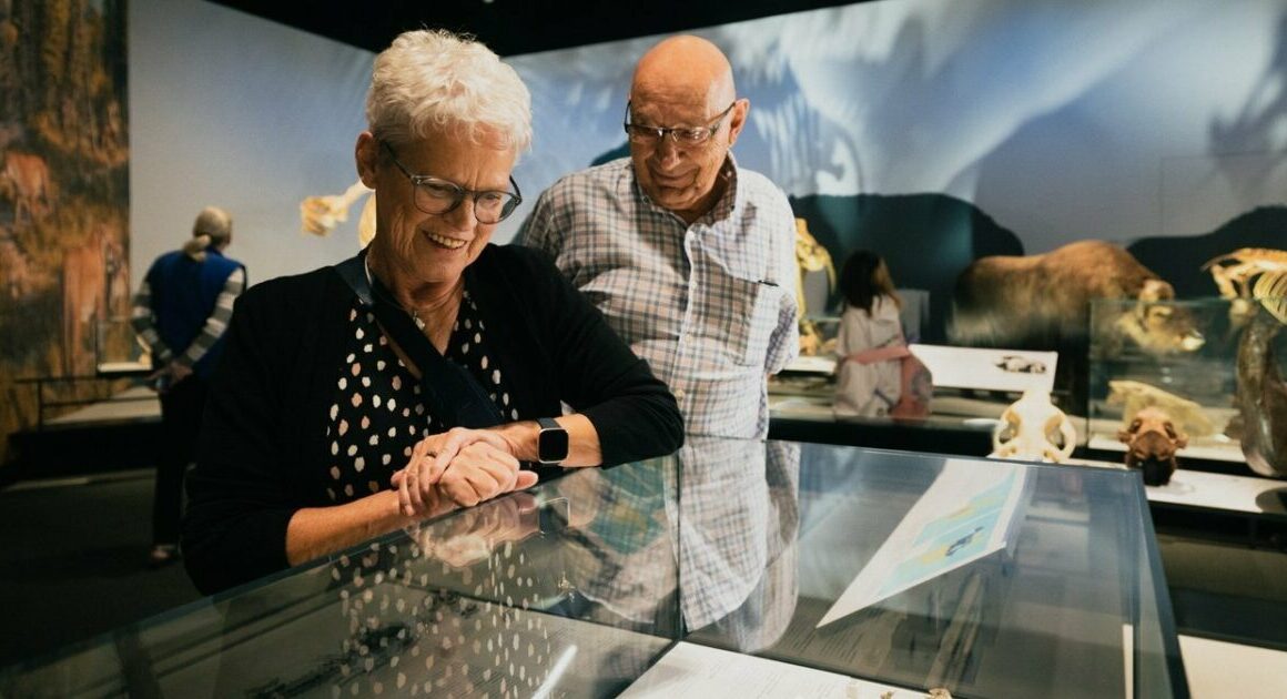 Plan your visit to Edmonton’s Royal Alberta Museum