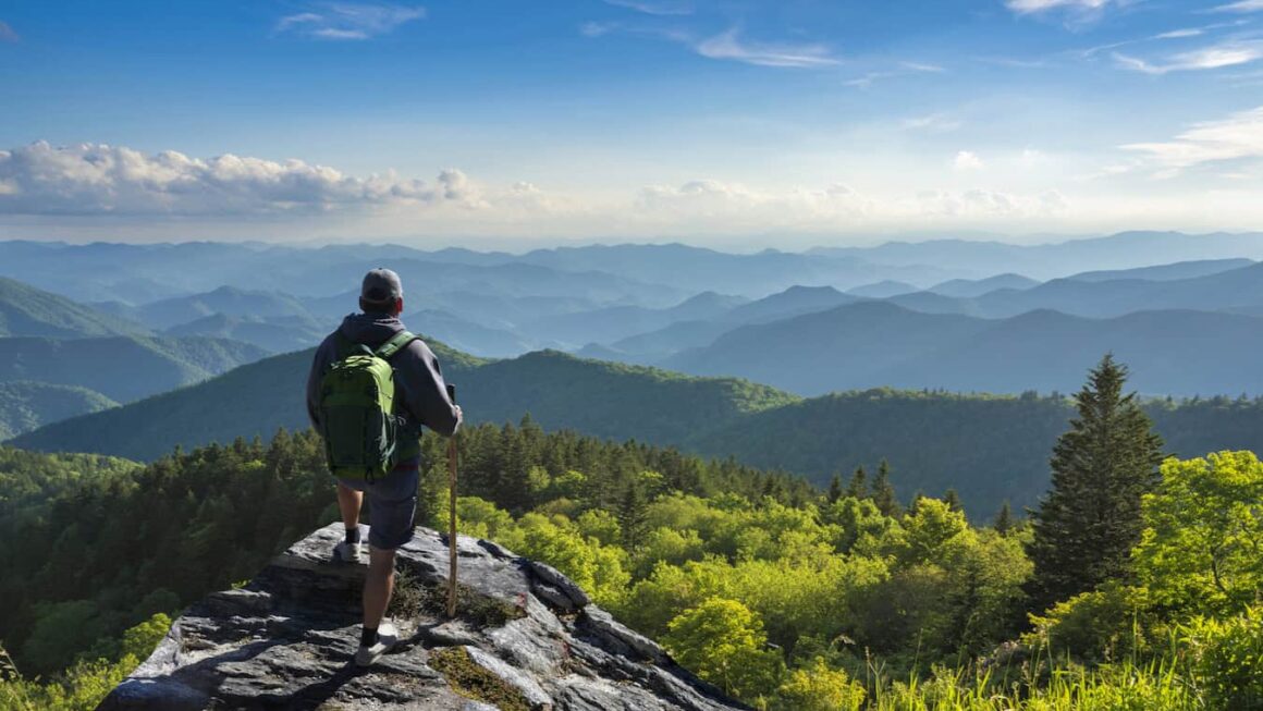 Freely Travel Insurance Review