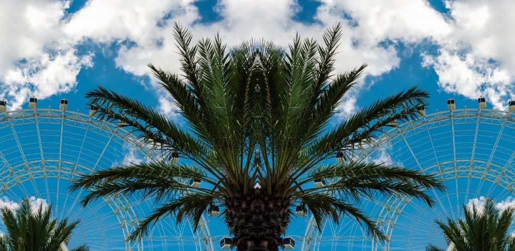 10 Top Hotels Near Epic Universe Orlando